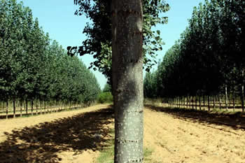 Dӱİ1 c(din)ɷŴ