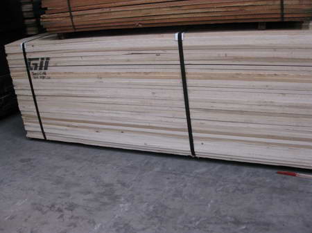 DYELLOW POPLAR cɷŴ