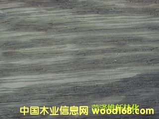Dľذf̎턩 cɷŴ