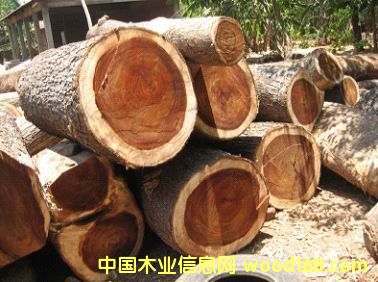 D黨M(jn)ڈ(bo)P(gun) c(din)ɷŴ