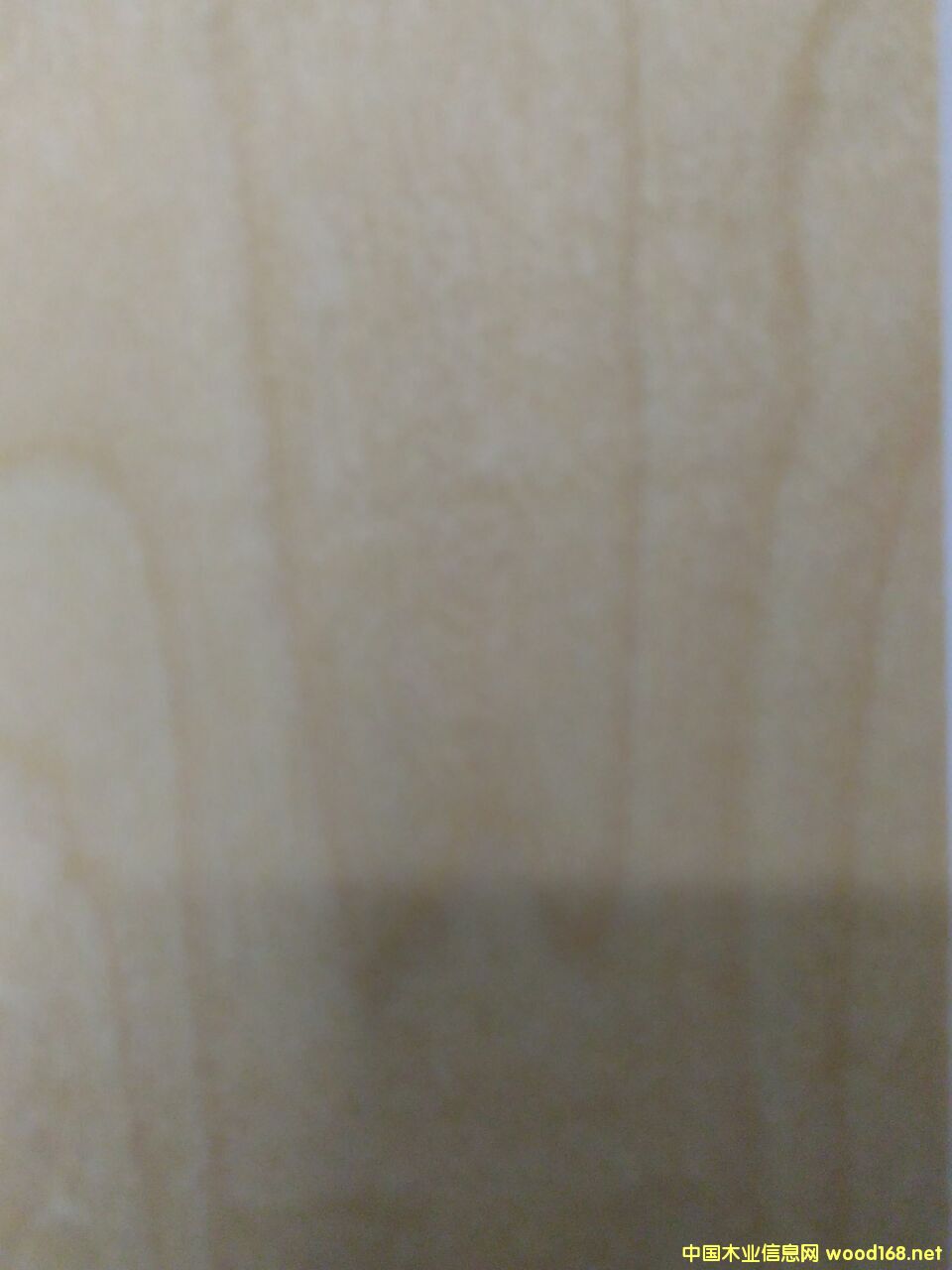 DZľ c(din)ɷŴ