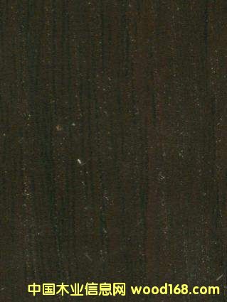 01tYDH051
