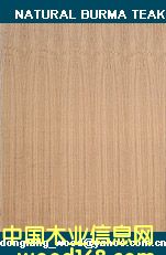 teak plywoodԔ(x)B