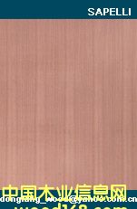 SAPELLI plywoodԔ(x)B