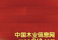 c鿴t̴ԔY