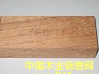 -LINGUE/APAԔB