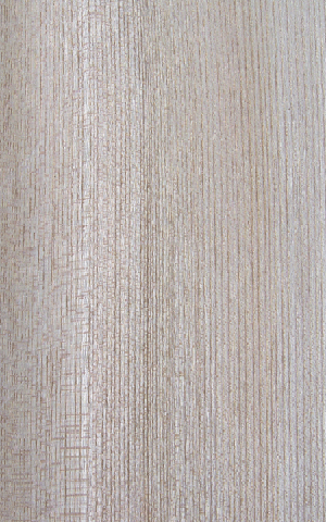 a˨ֱychina  hackberry(Q)