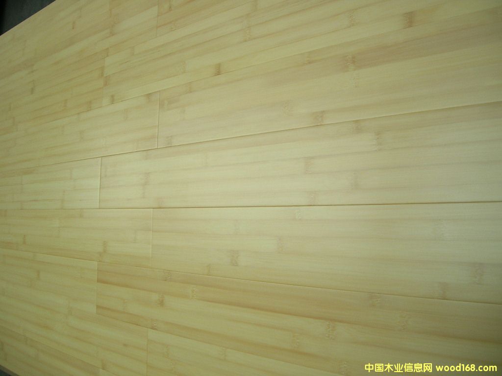 c鿴bamboo flooringŴDƬ