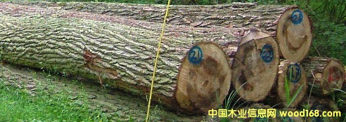 ľԭľԔB
