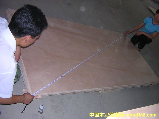 plywoodԔB