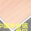 t˹ԔB