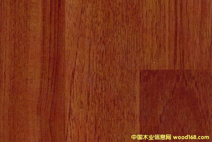 5230(qing)(f)ϵذԔ(x)B