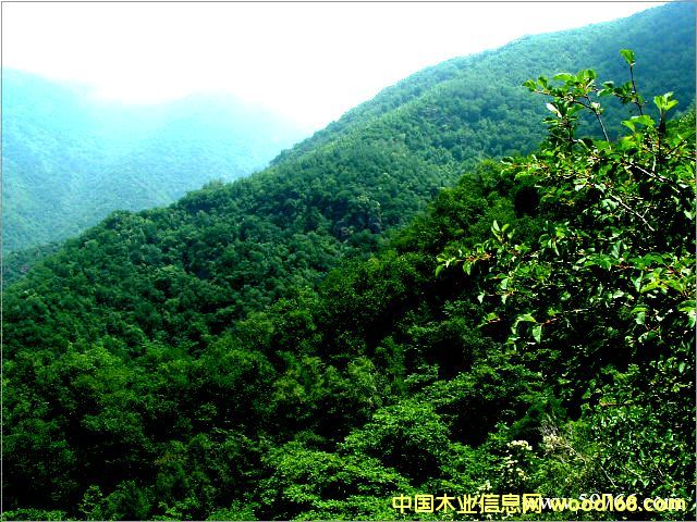 c鿴1000/·ŴDƬ