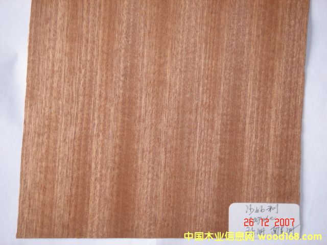 ɳޣ