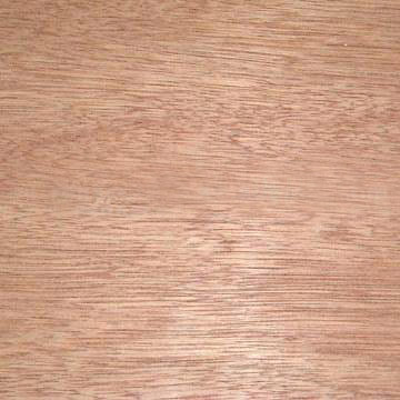 c鿴bintaqorplywoodŴDƬ