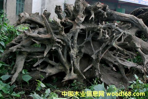 ꎳľ-5Ԕ(x)B