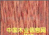 c鿴ǹzϰŴDƬ
