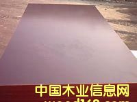 c鿴brown film face plywoodŴDƬ