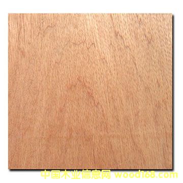 c鿴Bintangor plywoodŴDƬ