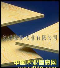 c鿴Pine plywoodŴDƬ