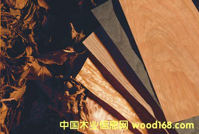 c(din)鿴ȻľƤŴDƬ