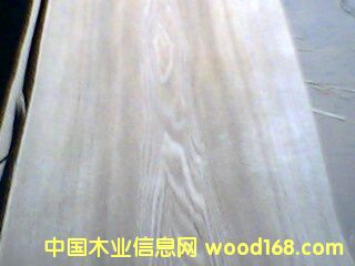 c鿴0.5MMyŴDƬ