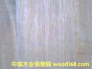 c鿴0.5MMľֱyŴDƬ