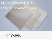 c(din)鿴plywoodŴDƬ