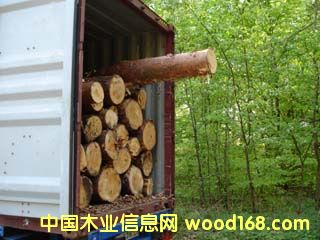 c鿴WľŴDƬ