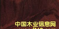 c鿴kwila.̫ƽFľŴDƬ
