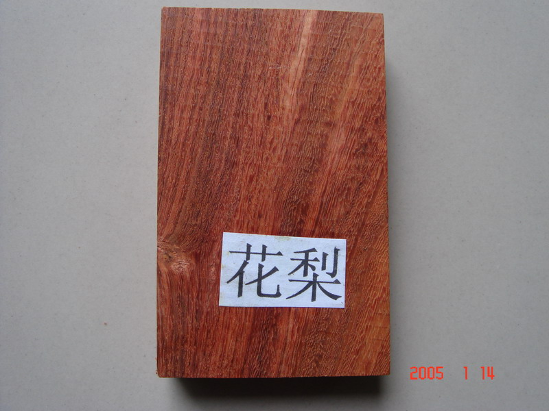 黨ľԔB