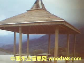 c鿴^ŴDƬ
