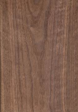 c鿴ں(black walnut)ŴDƬ