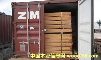 JATOBA()ԔB