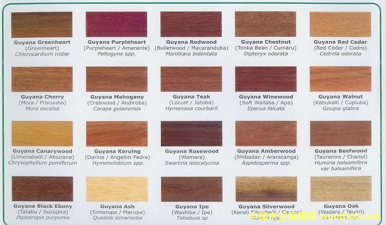 GUYANA WOODSԔB