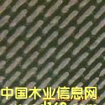 c鿴ɰCƤŴDƬ