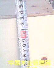 c鿴POPLAR LVLŴDƬ