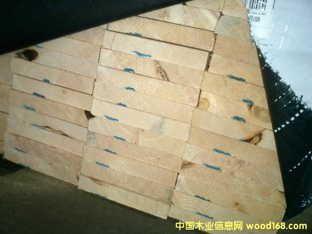 c鿴SPFŴDƬ