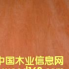 c鿴ǹŴDƬ
