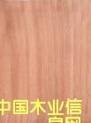 c鿴һоWŴDƬ