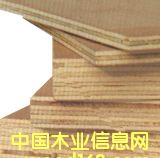 c鿴zϰŴDƬ