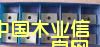 c鿴߅CԔY