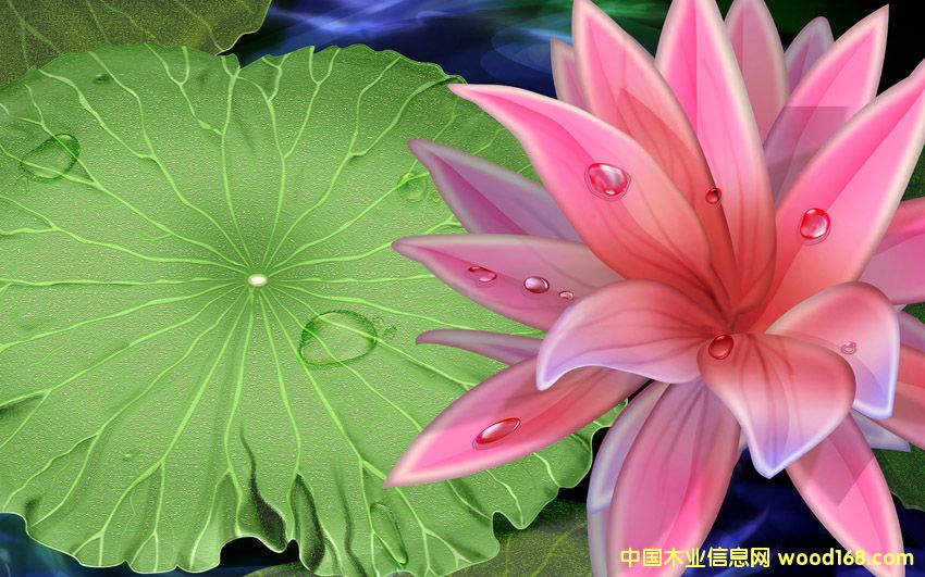 c鿴ŴDƬ