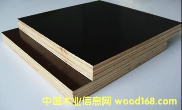 birch film face plywood