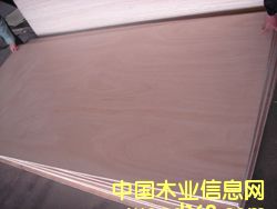 red canarium plywoodԔB