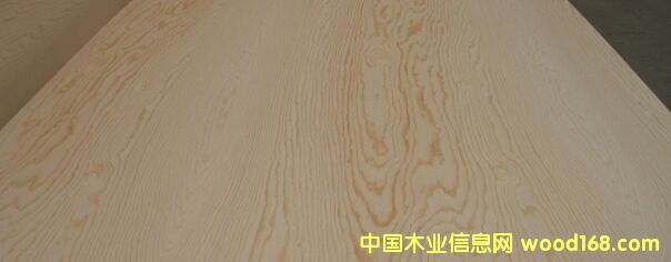 c鿴birch plywoodŴDƬ