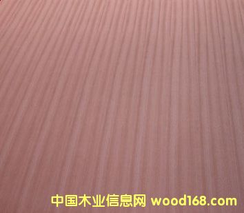 c鿴bŴDƬ