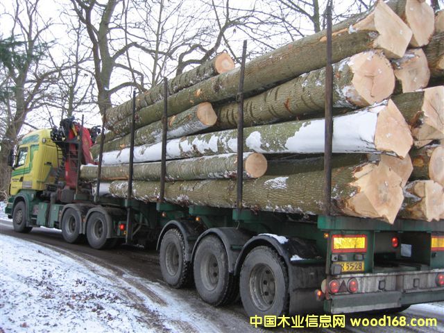 Wް˨ԭľAsh logs)Ԕ(x)B