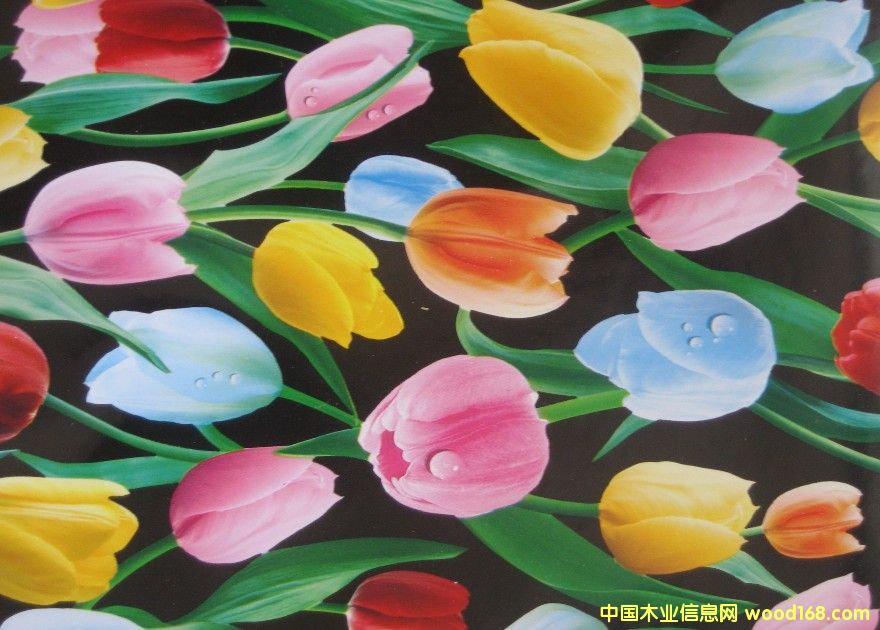 c鿴PVCŴDƬ