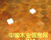 c鿴ľɲŷŴDƬ